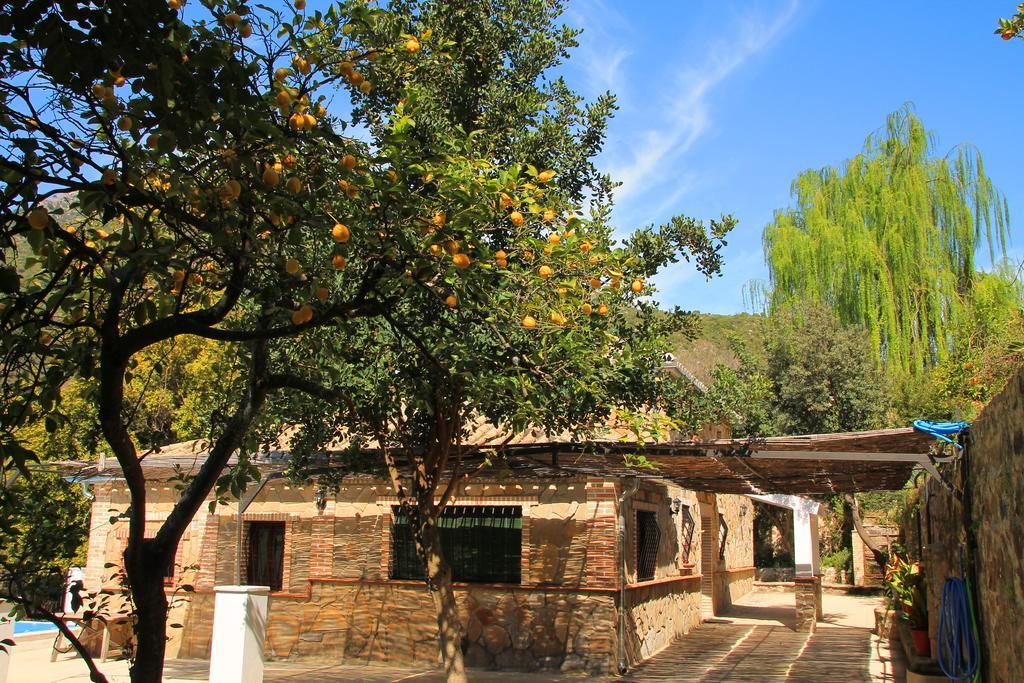 La Fuente De El Nacimiento Pension Benamahoma Buitenkant foto