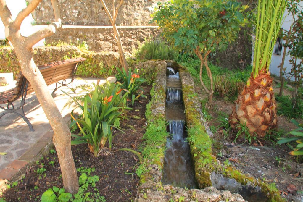 La Fuente De El Nacimiento Pension Benamahoma Buitenkant foto